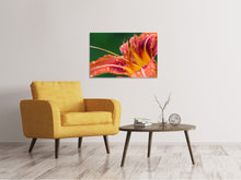 Load image into Gallery viewer, Canvas print XXL lily in orange
