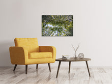 Load image into Gallery viewer, Canvas print Many treetops
