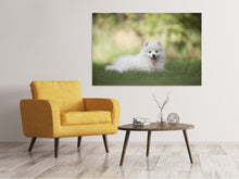 Load image into Gallery viewer, Canvas print Cute spitz puppy
