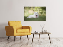 Load image into Gallery viewer, Canvas print Cute spitz puppy

