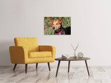 Load image into Gallery viewer, Canvas print Attentive dog
