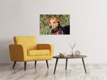 Load image into Gallery viewer, Canvas print Attentive dog
