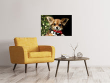 Load image into Gallery viewer, Canvas print Look into my eyes, Small !
