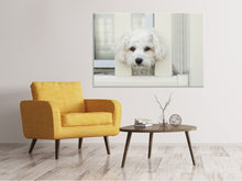 Load image into Gallery viewer, Canvas print A dog girl to fall in love

