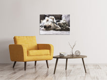 Load image into Gallery viewer, Canvas print 2 cute dogs
