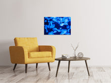 Load image into Gallery viewer, Canvas print Many jellyfish in the blue water
