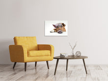 Load image into Gallery viewer, Canvas print The funny pig dog
