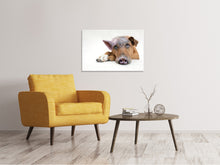 Load image into Gallery viewer, Canvas print The funny pig dog
