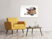 Load image into Gallery viewer, Canvas print The funny pig dog
