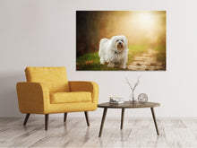 Load image into Gallery viewer, Canvas print The Havanese
