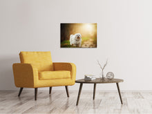 Load image into Gallery viewer, Canvas print The Havanese
