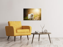 Load image into Gallery viewer, Canvas print The Havanese
