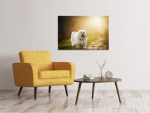 Load image into Gallery viewer, Canvas print The Havanese
