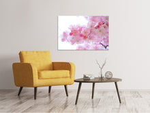 Load image into Gallery viewer, Canvas print Japanese cherry blossom XL
