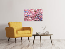 Load image into Gallery viewer, Canvas print Wonderful Japanese cherry
