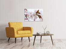Load image into Gallery viewer, Canvas print Lovely Japanese cherry
