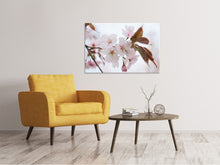 Load image into Gallery viewer, Canvas print Lovely Japanese cherry
