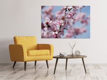 Load image into Gallery viewer, Canvas print Japanese cherry tree close up
