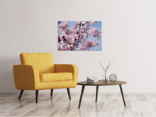 Load image into Gallery viewer, Canvas print Japanese cherry tree close up
