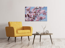 Load image into Gallery viewer, Canvas print Japanese cherry tree close up
