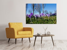 Load image into Gallery viewer, Canvas print Purple crocus in nature
