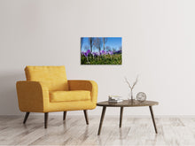 Load image into Gallery viewer, Canvas print Purple crocus in nature
