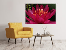 Load image into Gallery viewer, Canvas print Wonderful water lily

