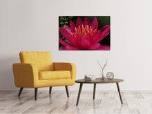 Load image into Gallery viewer, Canvas print Wonderful water lily
