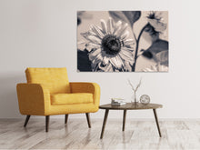 Load image into Gallery viewer, Canvas print Bees on the sunflower sw
