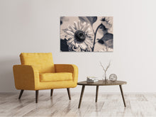 Load image into Gallery viewer, Canvas print Bees on the sunflower sw
