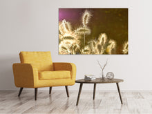 Load image into Gallery viewer, Canvas print The ornamental grass
