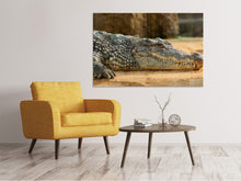 Load image into Gallery viewer, Canvas print The Nile crocodile
