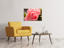 Load image into Gallery viewer, Canvas print The rose in pink
