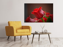 Load image into Gallery viewer, Canvas print Red rose in XL
