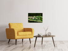 Load image into Gallery viewer, Canvas print A field full of water lilies
