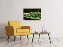 Load image into Gallery viewer, Canvas print A field full of water lilies
