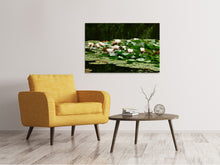 Load image into Gallery viewer, Canvas print A field full of water lilies

