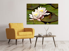 Load image into Gallery viewer, Canvas print Water lily duo in white
