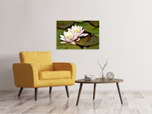 Load image into Gallery viewer, Canvas print Water lily duo in white
