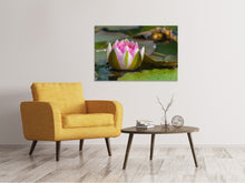 Load image into Gallery viewer, Canvas print XL water lily in pink
