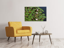 Load image into Gallery viewer, Canvas print White water lilies in the pond
