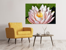 Load image into Gallery viewer, Canvas print The bee on the water lily
