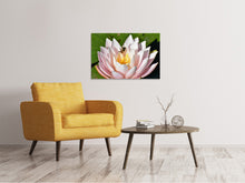 Load image into Gallery viewer, Canvas print The bee on the water lily
