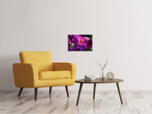Load image into Gallery viewer, Canvas print The rhododendron
