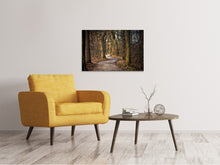 Load image into Gallery viewer, Canvas print enchanted forest
