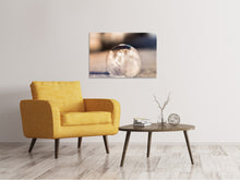Load image into Gallery viewer, Canvas print Ornate bubble

