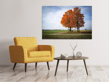 Load image into Gallery viewer, Canvas print The 3 trees
