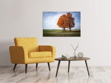 Load image into Gallery viewer, Canvas print The 3 trees
