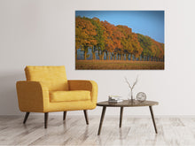 Load image into Gallery viewer, Canvas print Beautiful autumn
