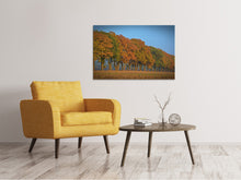 Load image into Gallery viewer, Canvas print Beautiful autumn
